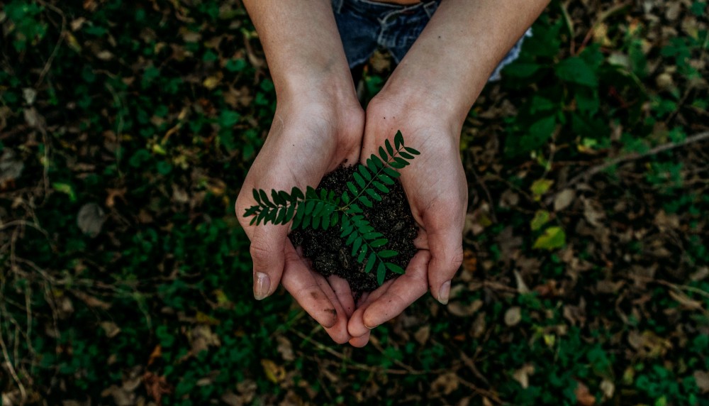 What is an Environmentally-Sustainable Workplace, and why you should know?