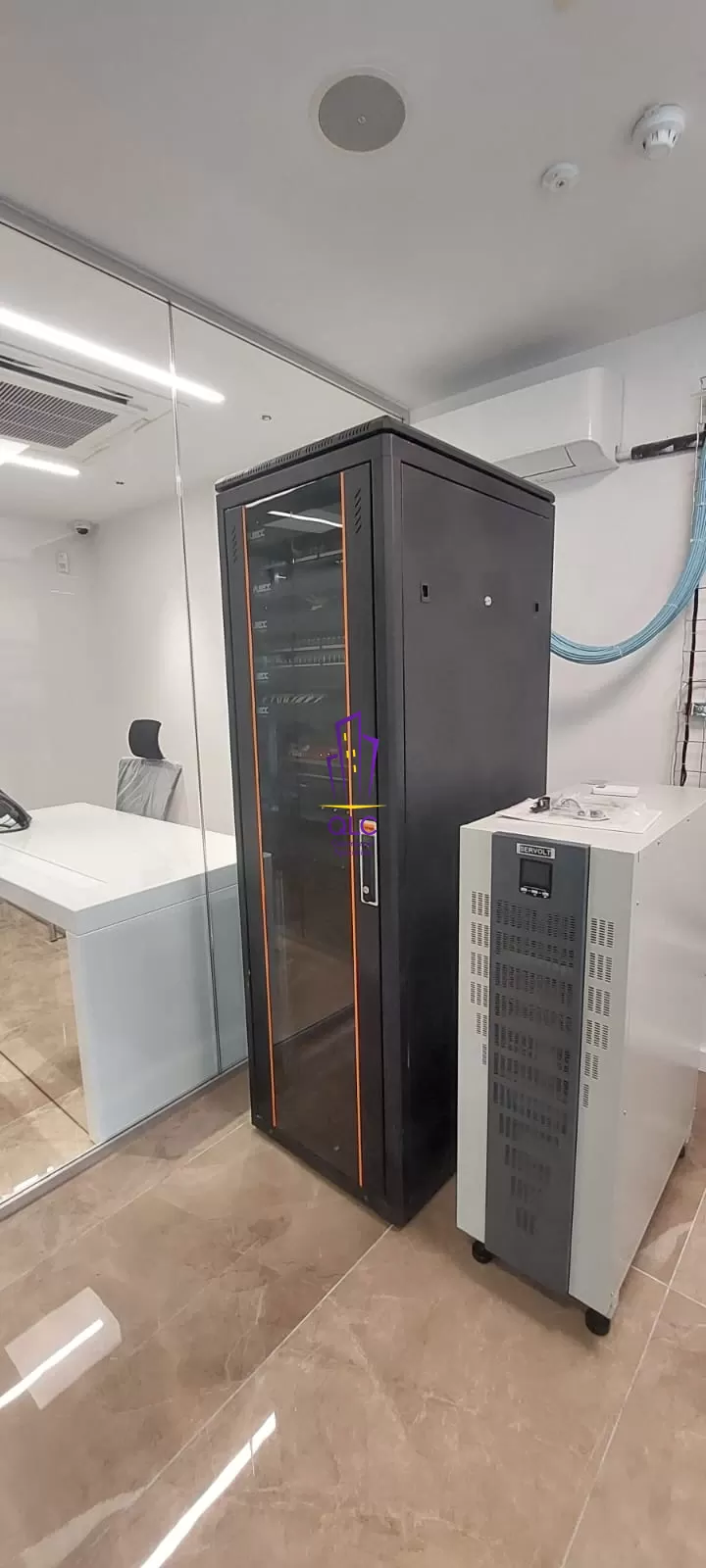 62446